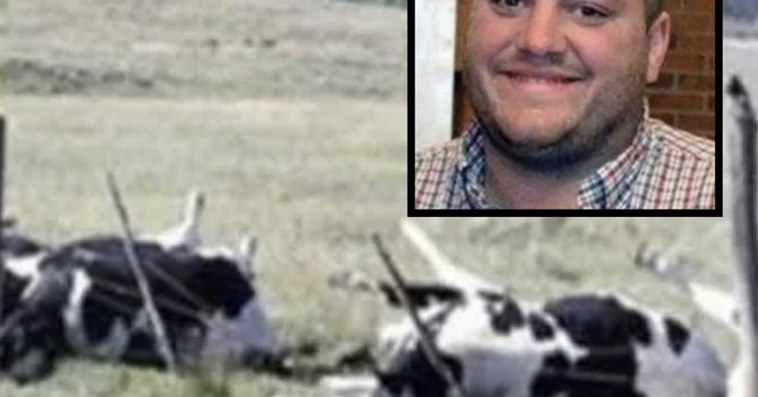 Farmer And 16 Cows Found Dead, Cause Of Death Finally Discovered